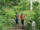 On the Nandi Hills trail - July 2022