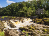 Cenarth Falls