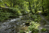 Riverside path