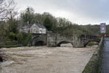 Shropshire and Staffordshire