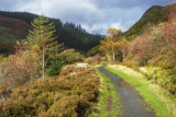 Cwm Elan Trail