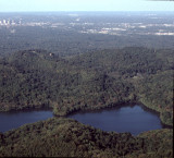 Radnor Lake aerial