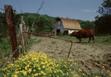Hall Farm