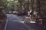 summer crowd at Radnor