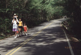 Radnor family use