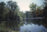 Radnor Lake view