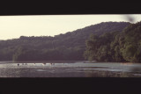 canoes on lake panorama