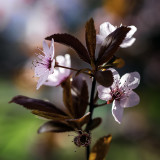 Just Spring 3