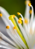 Just Spring 4