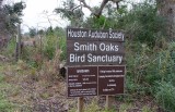 Smith Oaks, High Island, Texas