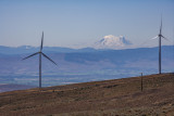 Wild Horse Renewable Energy Center