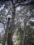 Carl S. English Jr. Botanical Garden
