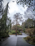 Carl S. English Jr. Botanical Garden