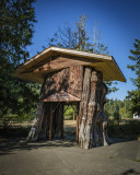 Walk-Thru Stump