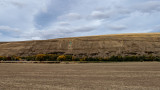 Jolly Green Giant on the Hill