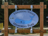Exploding Whale Memorial Park