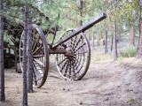 Collier Logging Museum