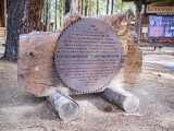 Collier Logging Museum