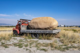Spud Drive-In Giant Potato