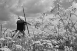 Uitwijkse molen