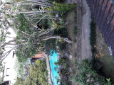 The view from my terrace. Hotel Oka Wati. Ubud