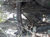 The sacred Monkey Forest. Ubud