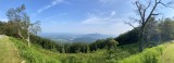 B21AA6A7-0402-49AB-8A7B-46E4FAF9643B.jpeg