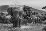 Africa Photo Expeditions