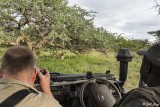 Lions, Southern Serengeti  15