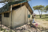 Alex Walkers Serians Serengeti South Camp  8