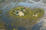 Okavango Delta Aerial   10