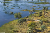 Okavango Delta Aerial   8