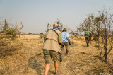 Walking Safari, Little Makalolo Camp  5
