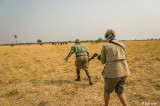 Walking Safari, Little Makalolo Camp  7