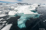 Iceberg, Enterprise Islands  4
