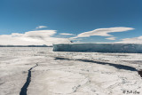 Icebergs, Antarctic Sound  1