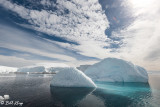 Iceberg, Enterprise Islands  13