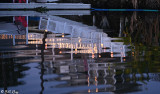 Dock Reflections 1J