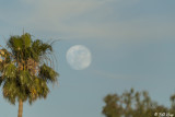 Full Moon 1J