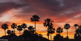 Discovery Bay Sunset 4J