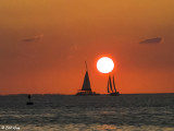 Sunset Sailboats  1