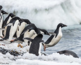 Antarctica 2017 by Linda Klipp