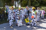 Cow Key Channel Bridge Run 4