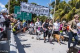 Cow Key Channel Bridge Run 12
