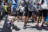 Cow Key Channel Bridge Run 17