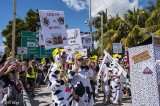 Cow Key Channel Bridge Run 23