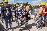 Cow Key Channel Bridge Run 33