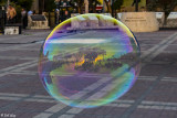 Mallory Square Bubble  1
