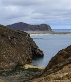 Punta Pitt, San Cristobal Island  1