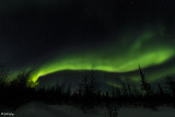 Aurora Borealis  39